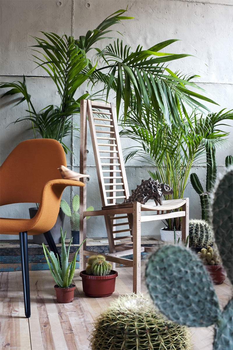 Mise en scène de meubles de jardin en bois tropical et cactus