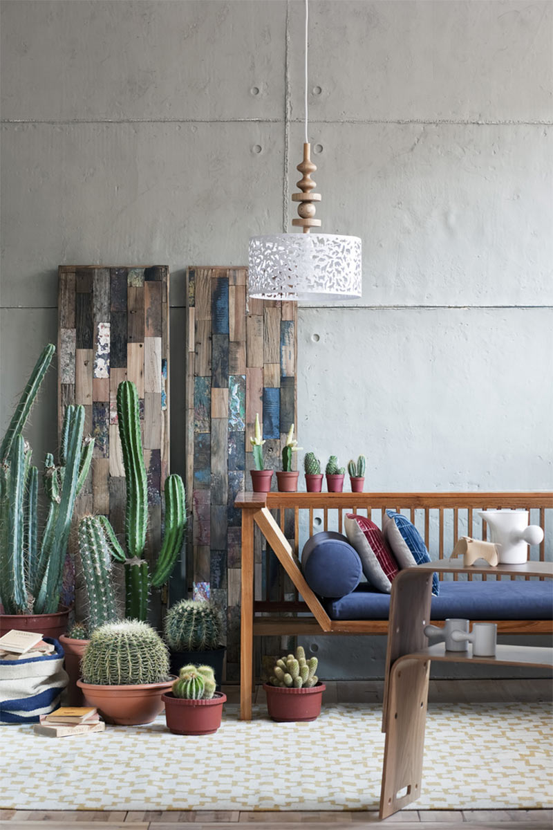 Mise en scène de meubles de jardin en bois tropical et cactus