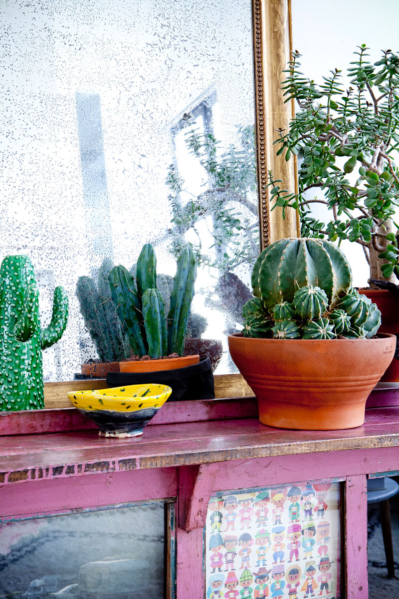 Le meuble de brocante badigeonné de peinture rose en mode jungalow avec ses plantes exotiques