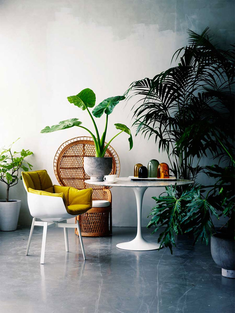 Une mise en scène "jungle" avec du mobilier indoor / outdoor Une mise en scène "jungle" avec du mobilier indoor / outdoor