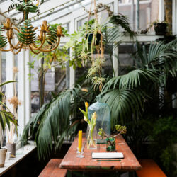style-jungle-tropical_laura-jackson-london-home