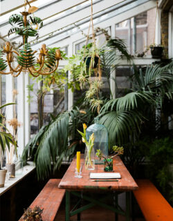 style-jungle-tropical_laura-jackson-london-home