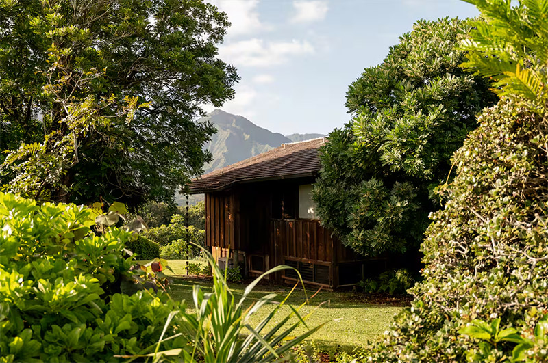 Vue extérieure de la maison, conçue avec des essences de bois locales Vue extérieure de la maison, conçue avec des essences de bois locales