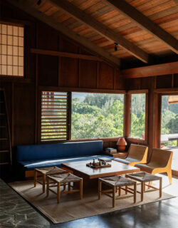 maison-moderniste-des-annees-70-a-Hawai-Beatrice-Faverjon_3