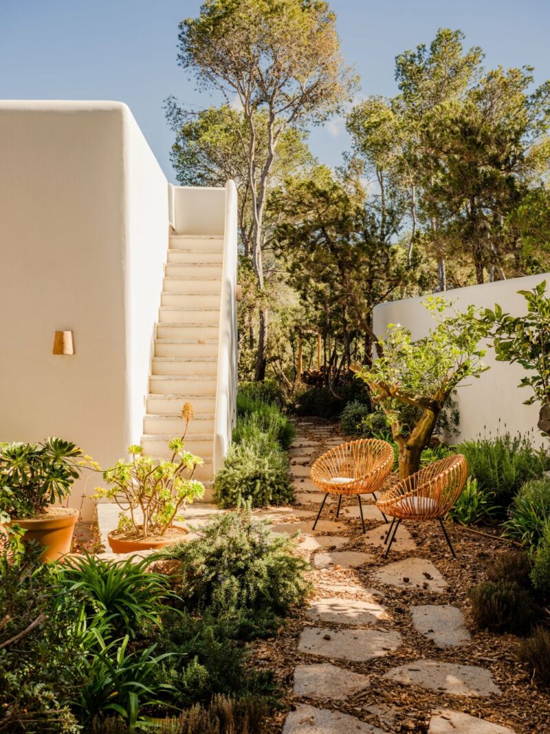 Le jardin et des escaliers menant à l'étage
