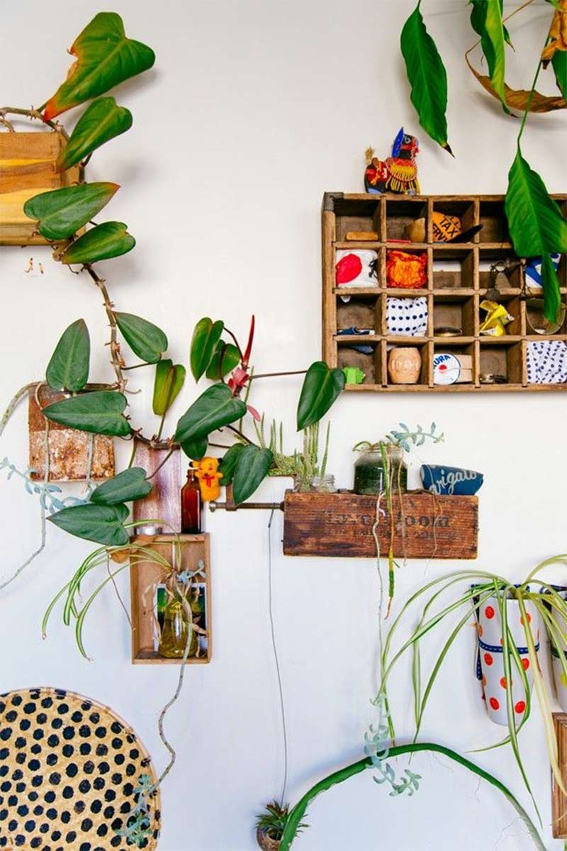 Mise en scène d'objets et de plantes sur des étagères en bois pour une déco bohème Mise en scène d'objets et de plantes sur des étagères en bois pour une déco bohème