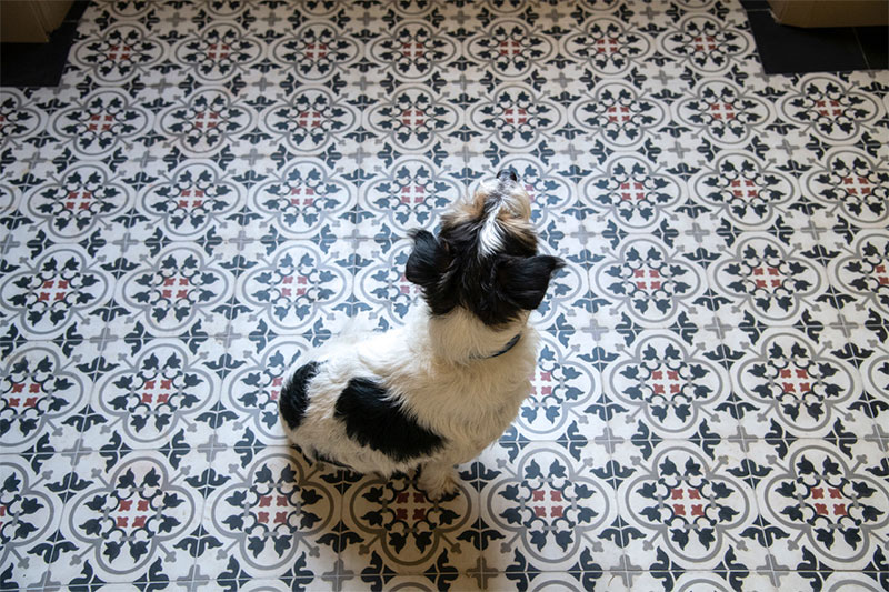 Sol réalisé avec des carreaux de ciment Garden