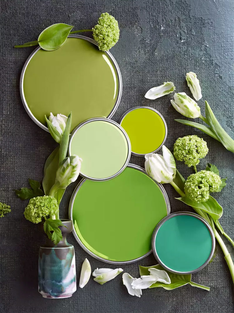 Palette de verts acides, des verts inspirés de la végétation au printemps