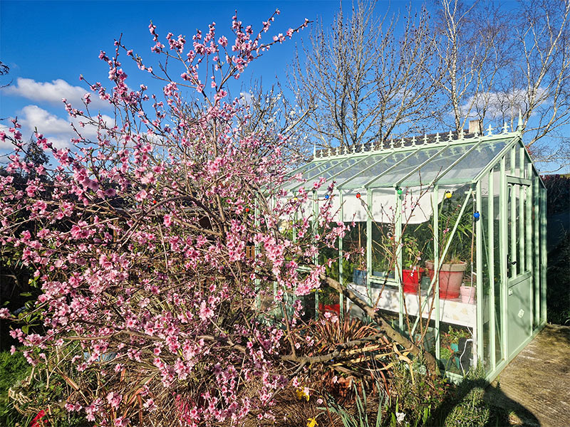 LAMS - Serre Authentique, largeur 2,75 m sur base aluminium LAMS - Serre Authentique, largeur 2,75 m sur base aluminium