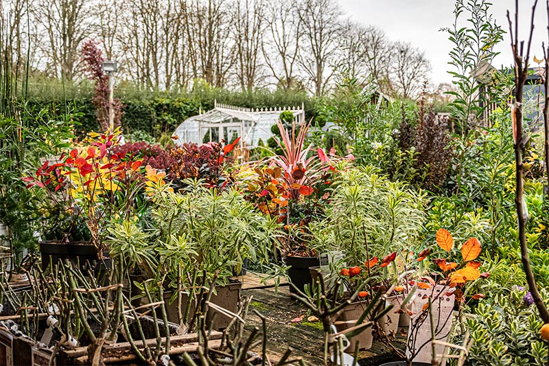 LAMS - Serre Mirabeau ©lesjardinsdegally LAMS - Serre Mirabeau ©lesjardinsdegally