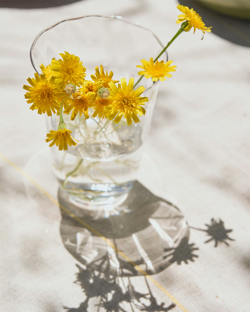 Kave Home, collection été 2026 : Verre à eau présenté comme un vase avec des pissenlits Kave Home, collection été 2026 : Verre à eau présenté comme un vase avec des pissenlits