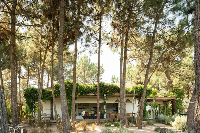 Villa Cabana à Comporta, une maison ouverte sur la pinède grâce à de grandes baies vitrées