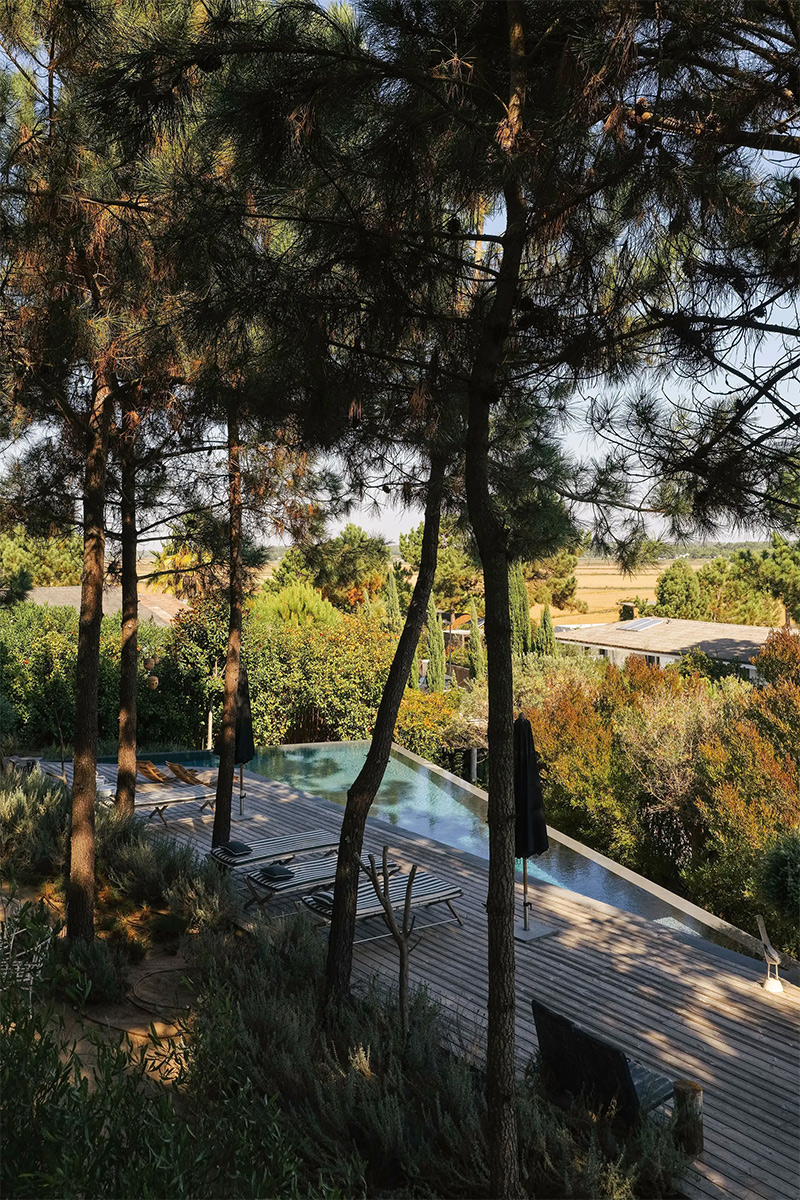 Vue sur la piscine au milieu de la pinède