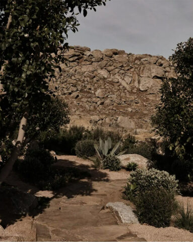 Le jardin aride de la villa En Kyanó entre cactus, euphorbes et végétation méditerranéenne Le jardin aride de la villa En Kyanó entre cactus, euphorbes et végétation méditerranéenne
