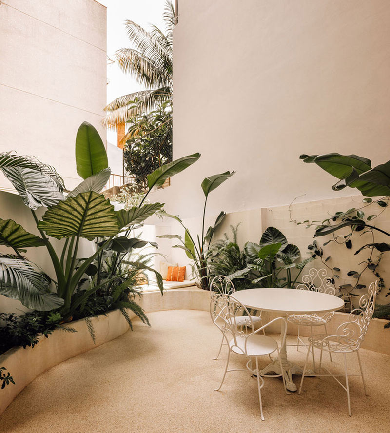 Une cour minérale blanche, dans laquelle les plantes tropicales s'épanouissent Une cour minérale blanche, dans laquelle les plantes tropicales s'épanouissent et créent une zone de fraîcheur dans Lisbonne