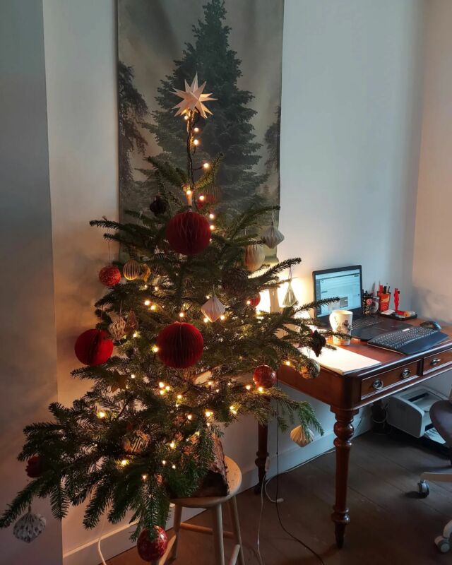Je vous présente mon nouveau voisin de travail. Il s'appelle Sapin, patronyme, de Noël, un peu scintillant, mais pas trop. Peut-être un peu trop silencieux. Il ravive mes mornes journées de travail à la maison 😄
-
#athome #travailalamaison #turbulenceshome  #turbulencesdeco #Mahomet #noel2023 #Noël #christmasdecoration  #deconoel #sapindenoel #christmastree